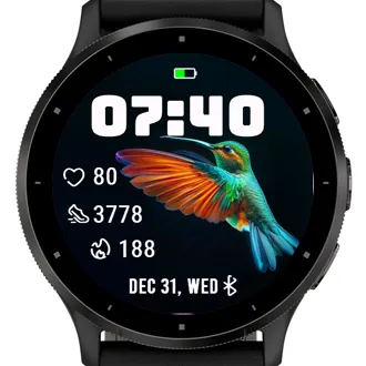 A Hummingbird · 截图 2