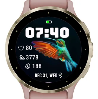 A Hummingbird · 截图 3