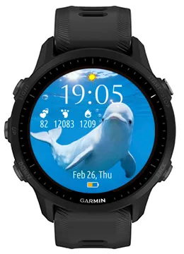 Beluga Whale · 截图 0