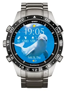 Beluga Whale · 截图 1