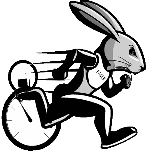 Perfect Pacer: Even Paced Splits, Running Swimming