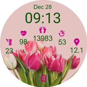 Pink Spring Tulips