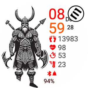THe Viking