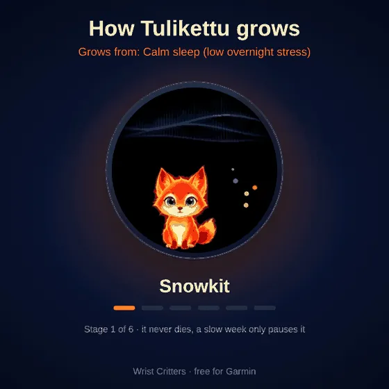 Tulikettu – 點亮北極光的火狐狸 · Schermafbeelding 0