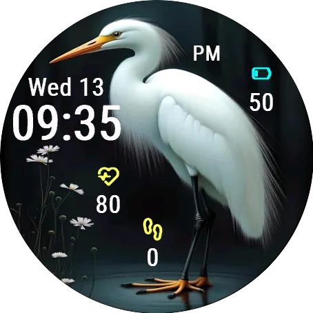 White Egret