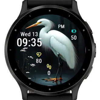 White Egret · ภาพหน้าจอ 0