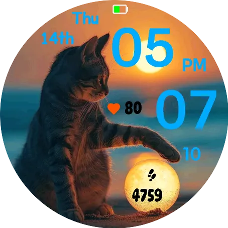 Sunset Kitty