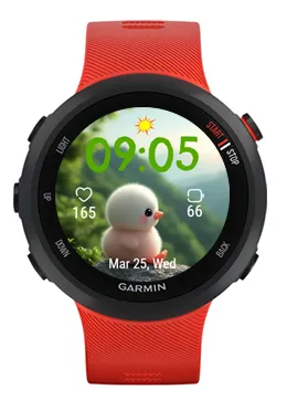 Landscape Duck · 截图 0
