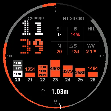 Awesome Surf Watch · Screenshot 0