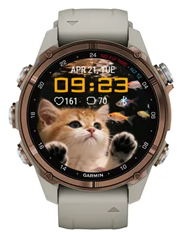 Fish Daydream · 螢幕截圖 0