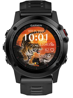 Sunset Tiger · 截图 0