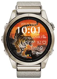 Sunset Tiger · 截图 1