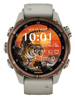 Sunset Tiger · 截图 3