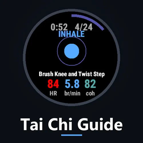 Tai Chi Guide