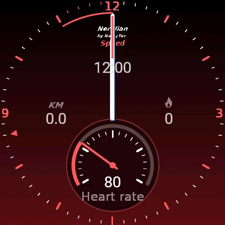 Neridian Speed - analog display