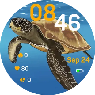 Ocean Turtle