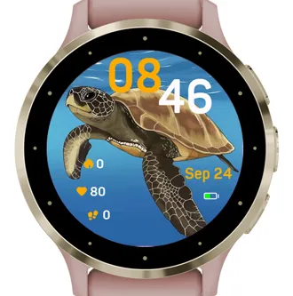 Ocean Turtle · 截图 2