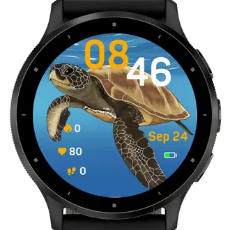 Ocean Turtle · 截图 3