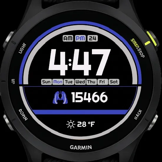 MnM BLUE GRID "AMOLED"