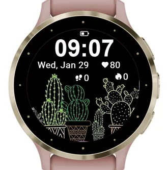 Star Cactus · 截图 0