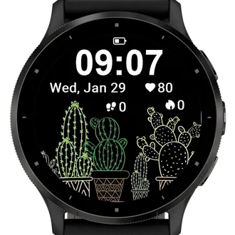 Star Cactus · 截图 1