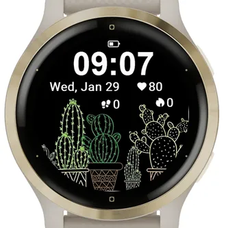 Star Cactus · 截图 2