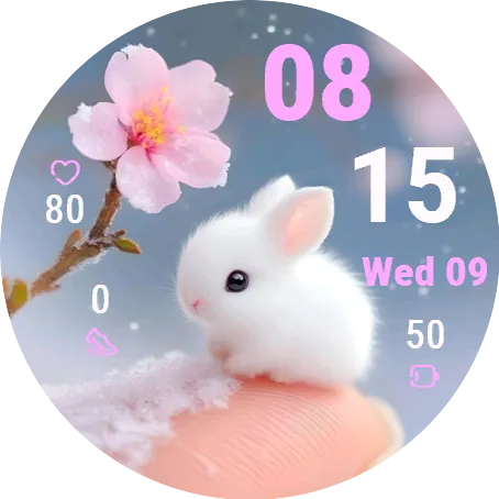 小小兔
