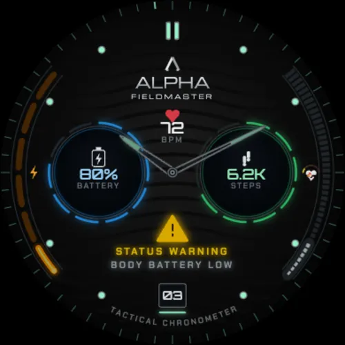 ALPHA FIELDMASTER - Spy Watch