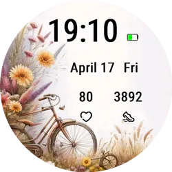 Bicycle Blooms