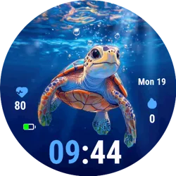 Turtle C2