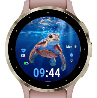 Turtle C2 · Snimka zaslona 0