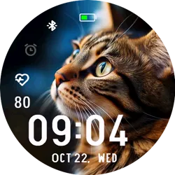 Tabby Cat