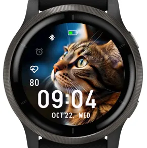 Tabby Cat · Snímka obrazovky 0