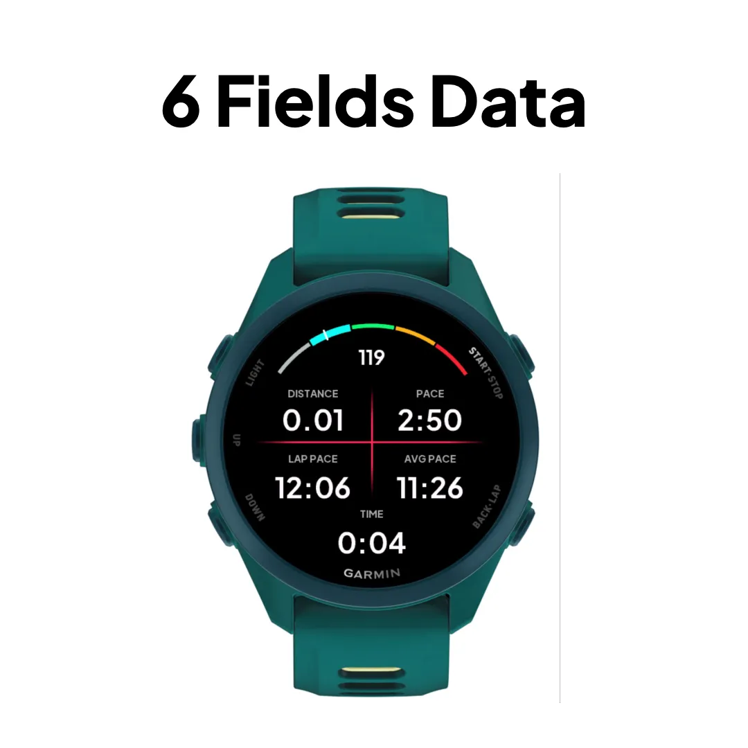 6 Fields Data