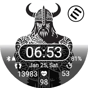 Viking XI