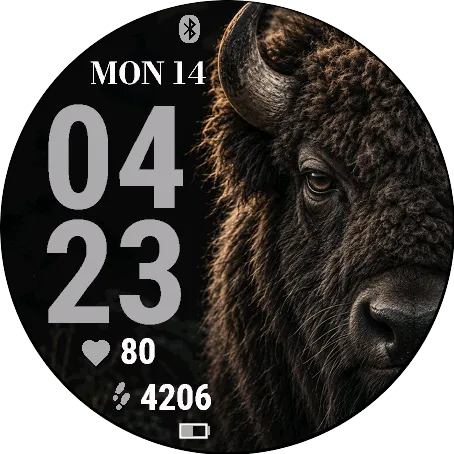 Tundrabison