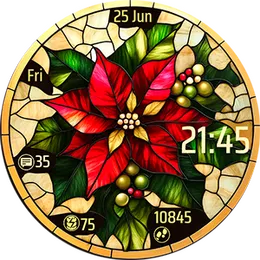 Poinsettia 2