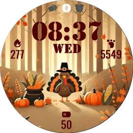 Thanksgiving Turkey