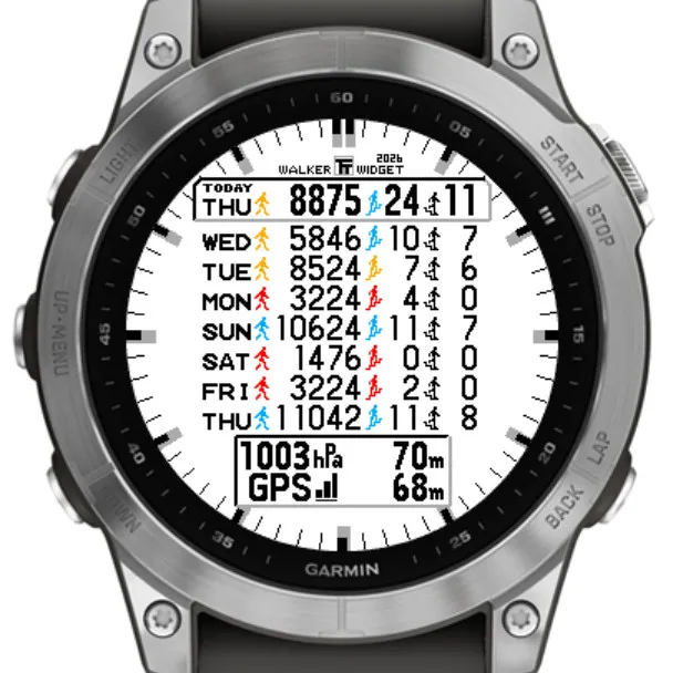 TTWalkerWidget