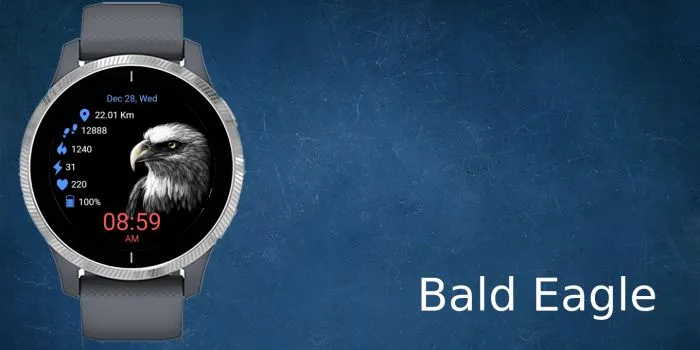 Bald Eagle · ภาพหน้าจอ 0