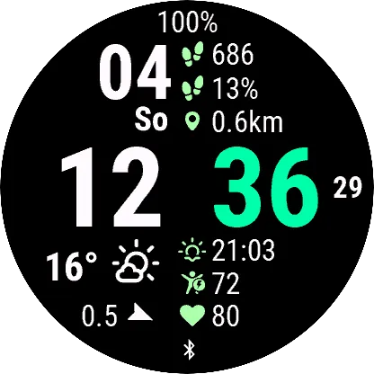 SWF03