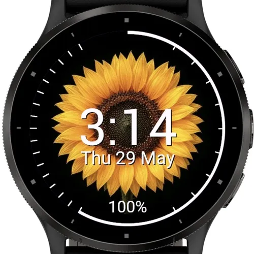 Everbloom 2 (Goal Based Sunflower)