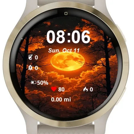 Full Moon Shining Night Sky