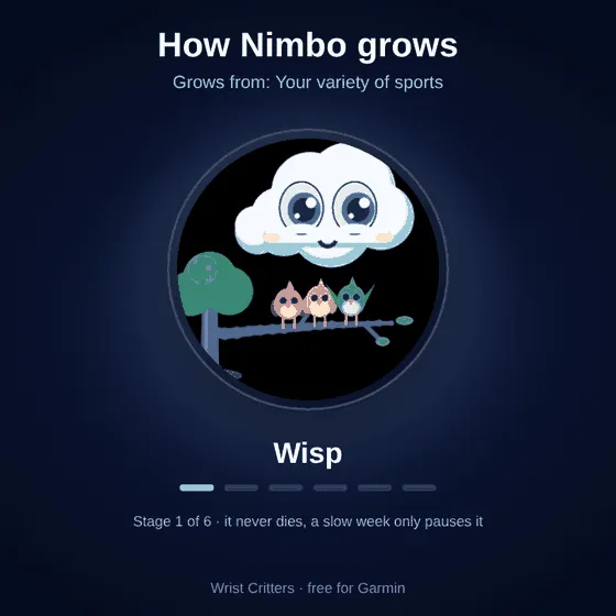 Nimbo Face – 錶面上滿是鳥的雲 · Screenshot 1