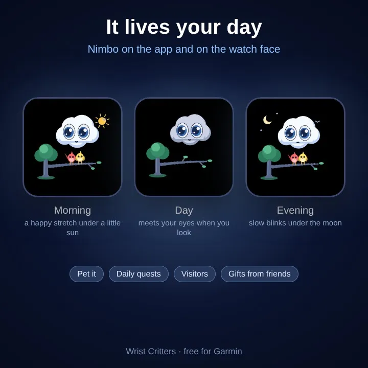 Nimbo Face – 錶面上滿是鳥的雲 · Screenshot 2