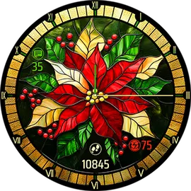 Poinsettia