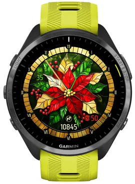 Poinsettia · Skærmbillede 1