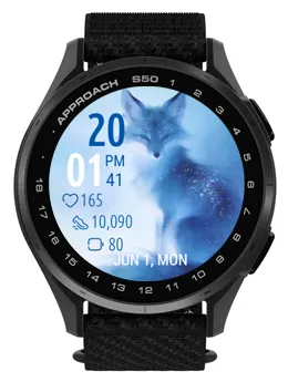 Blue Fox · Snimka zaslona 0