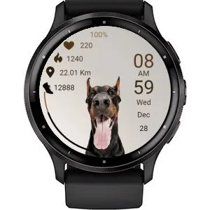 Dog 03