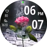 Smoky Rose